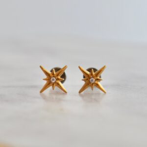 North Star 8-Point Titanium Flat Back Earrings