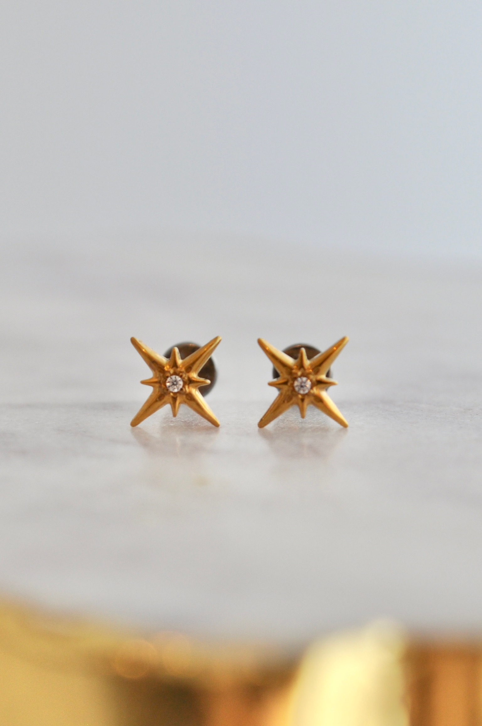 North Star 8-Point Titanium Flat Back Earrings